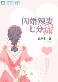 闪婚辣妻七分甜