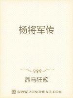 杨将军传