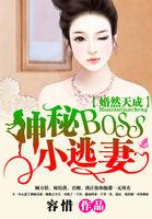 婚然天成：神秘BOSS小逃妻