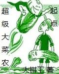 超级大菜农