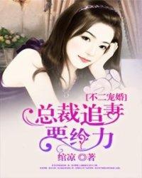 不二宠婚：总裁追妻要